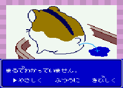 Hamster Club (J) [C][!] - screen 1