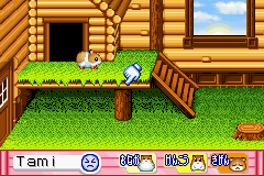 Hamster Paradise (J) [C][!] - screen 1