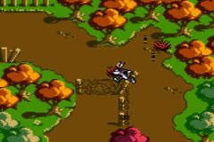 Looney Tunes Collector - Alert! (U) (M3) [C][!] - screen 1