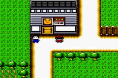 Pocket Lure Boy (J) [C][!] - screen 1