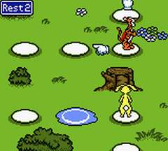 Winnie the Pooh - Adventures in the 100 Acre Wood (U) [C][!] - screen 2