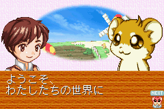 Hamster Monogatari Collection (J) [1089] - screen 1