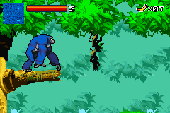 Kong - The Animated Series (E) [0500] - screen 1