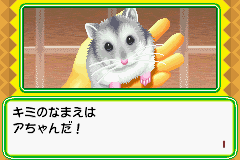 Nakayoshi Pet Advance Series 1 Kawaii Hamster (J) [0631] - screen 1