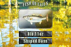 Monster Bass Fishing (U) [0810] - screen 2
