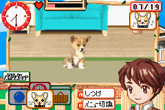 Kawaii Pet Game Gallery (J) [1210] - screen 1