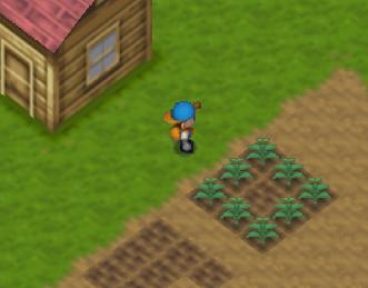 Harvest Moon 64 (U) [!] - screen 4