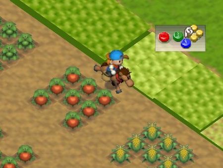 Harvest Moon 64 (U) [!] - screen 1