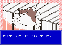 Hamster Club 2 (J) [C][!] - screen 2