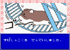 Hamster Club 2 (J) [C][!] - screen 1