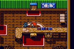 Kawaii Pet Shop Monogatari 2 (J) [C][!] - screen 2