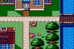 Kawaii Pet Shop Monogatari 2 (J) [C][!] - screen 1