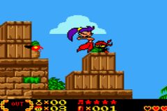 Shantae (U) [C][!] - screen 1