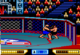 Ultimate Fighting Championship (U) [C][!] - screen 2