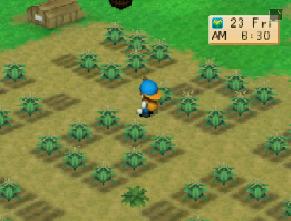Harvest Moon - Back To Nature - screen 3