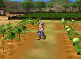 Harvest Moon: Save the Homeland - screen 4