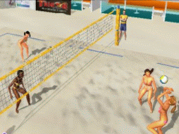 Beach Volleyball Heroes - screen 1