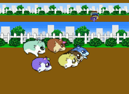 Hamster Monogatari 64 (J) [!] - screen 1