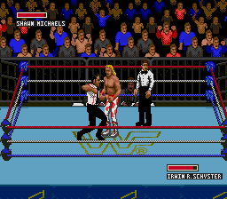 WWF Super Wrestlemania (W) [!] - screen 1
