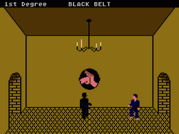 Black Belt - screen 3