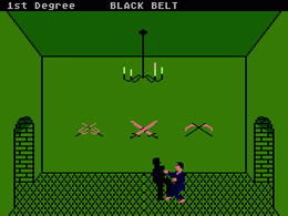 Black Belt - screen 2
