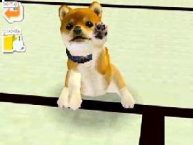 Nintendogs - Chihuahua and Friends (J) [0042] - screen 2