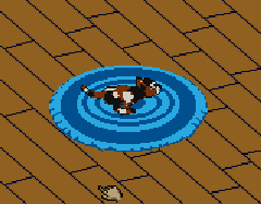 Catz - Your Virtual Petz Palz (U) [C][!] - screen 1