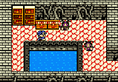 Dragon Quest Monsters - Terry no Wonderland (J) (V1.0) [C][!] - screen 2