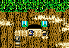 Dragon Quest Monsters - Terry no Wonderland (J) (V1.0) [C][!] - screen 1