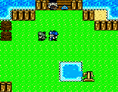 Dragon Quest Monsters 2 - Maruta no Fushigi na Kagi - Iru no Bouken (J) [C][!] - screen 1