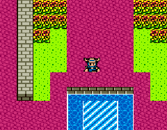Dragon Warrior I & II (U) [C][!] - screen 2
