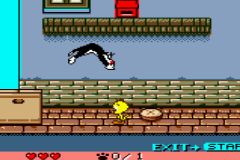 Titi - Le Tour du Monde en 80 Chats (F) [C][!] - screen 1