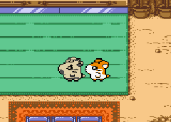 Tottoko Hamutarou 2 - Hamu-chan Zu Daishuugou Dechu (J) [C][!] - screen 1