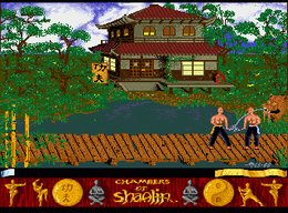 Chambers of Shaolin - screen 2