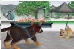 Nintendogs - Chihuahua & Friends (E) [0124] - screen 2