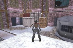 Tomb Raider Chronicles - screen 4