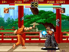 Art Of Fighting - screen 2