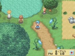 Harvest Moon DS (U) [0561] - screen 2