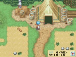 Harvest Moon DS (U) [0561] - screen 1