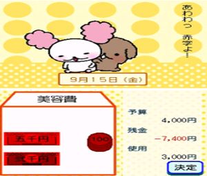 Doko Demo Raku Raku! DS Kakeibo (J) [0738] - screen 1