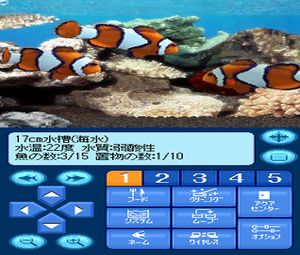 Kokoro ga Uruou Birei Aquarium DS - Kujira - Iruka - Penguin (J) [0976] - screen 2
