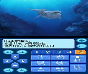 Kokoro ga Uruou Birei Aquarium DS - Kujira - Iruka - Penguin (J) [0976] - screen 1