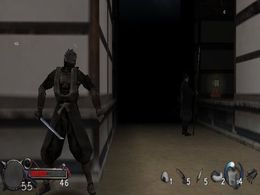 Tenchu: Time of the Assassins - screen 2