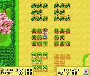 Harvest Moon DS (E) [0998] - screen 3