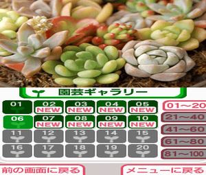 Hana Saku DS Gardening Life (J) [1320] - screen 1