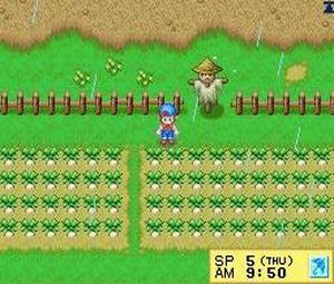 Harvest Moon DS (U)[1395] - screen 4