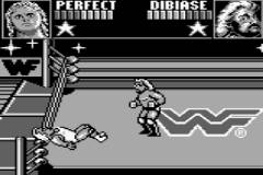 WWF Superstars (J) - screen 1