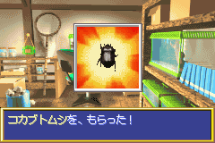 Our Breeding Series - My Ameba (J) [0081] - screen 1