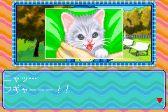 Nakayoshi Pet Advance Series 3 Kawaii Koneko (J) [0633] - screen 3