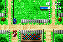 Kawaii Pet Shop Monogatari 3 (J) [0724] - screen 2